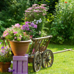 Gartenidylle mit Leiterwagen